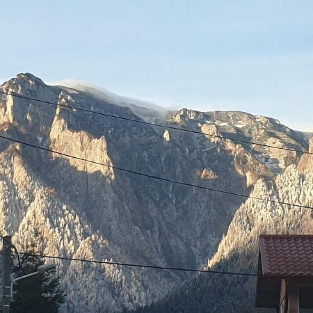 Mountain Break Azuga Ski Exterior photo